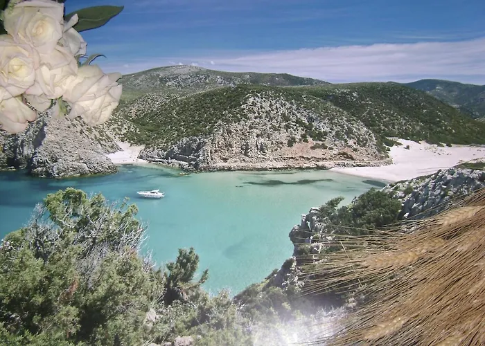 Domusantiga Monolocali E Trilocali- Hifi Gratuito *